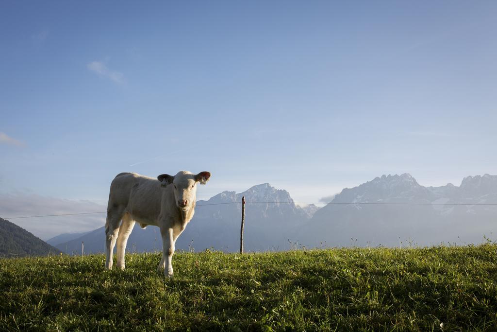 Farm stay Straganzhof *