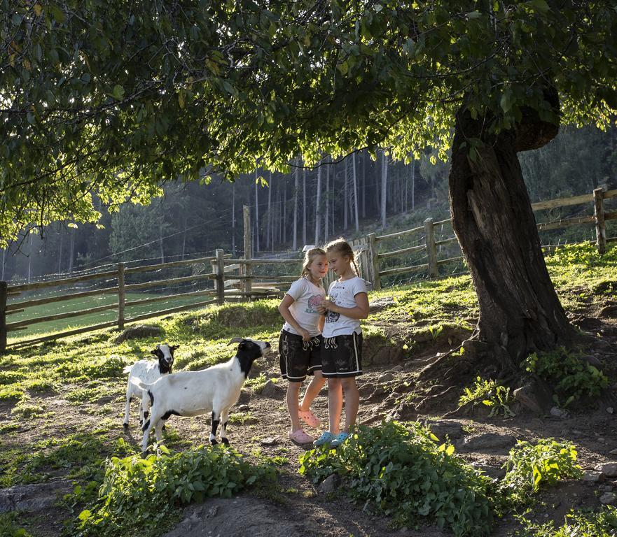 Farm stay Straganzhof