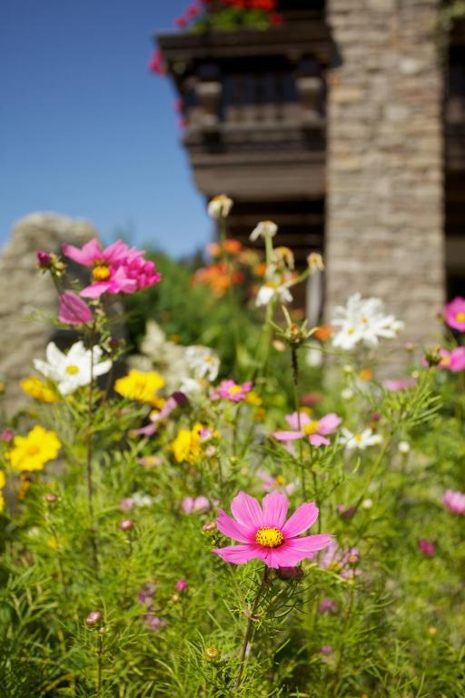 Farm stay Straganzhof Iselsberg