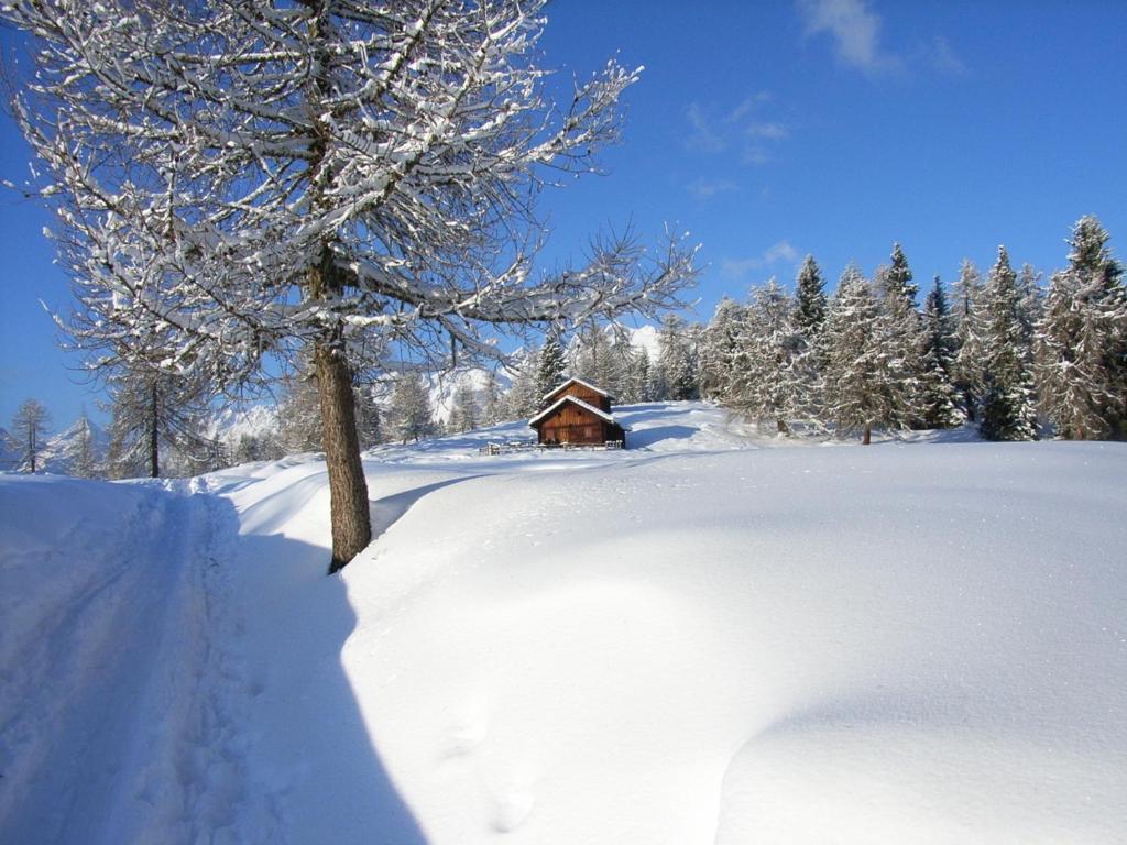 Straganzhof Farm stay