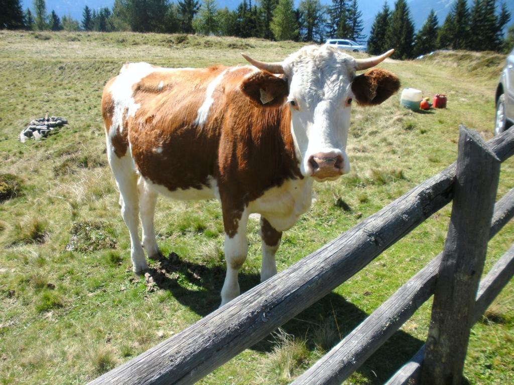 Straganzhof *