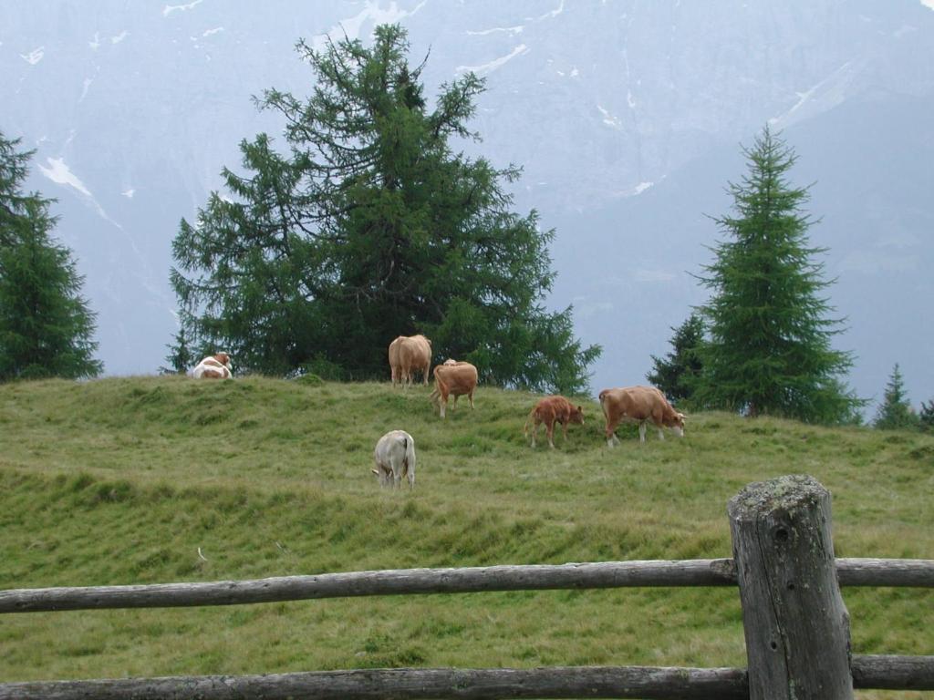 Farm stay Straganzhof