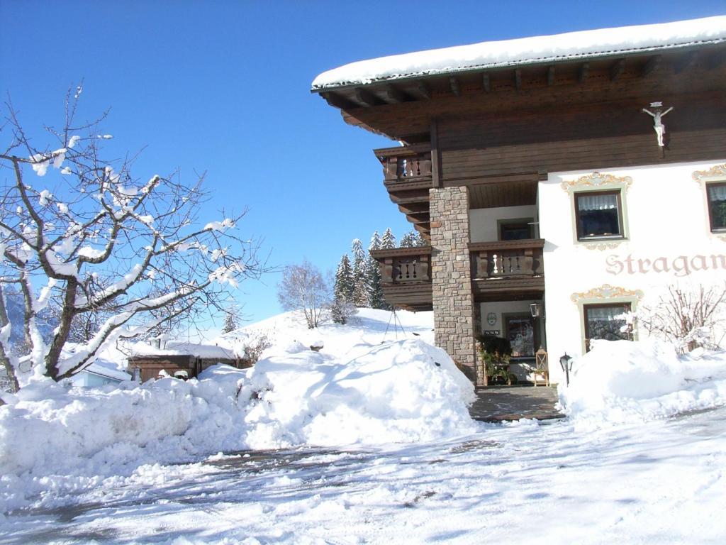 Farm stay Straganzhof *